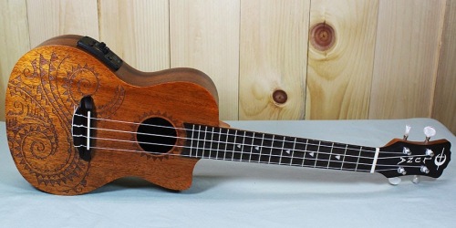 Dạy đàn ukulele ở Biên Hòa