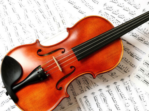 Dạy Online Violin - Tiết Kiệm Nhanh Gọn